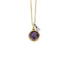 Birthstones gouden hanger met collier Februari