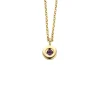 Birthstones gouden hanger met collier Februari