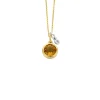 Birthstones gouden hanger met collier November
