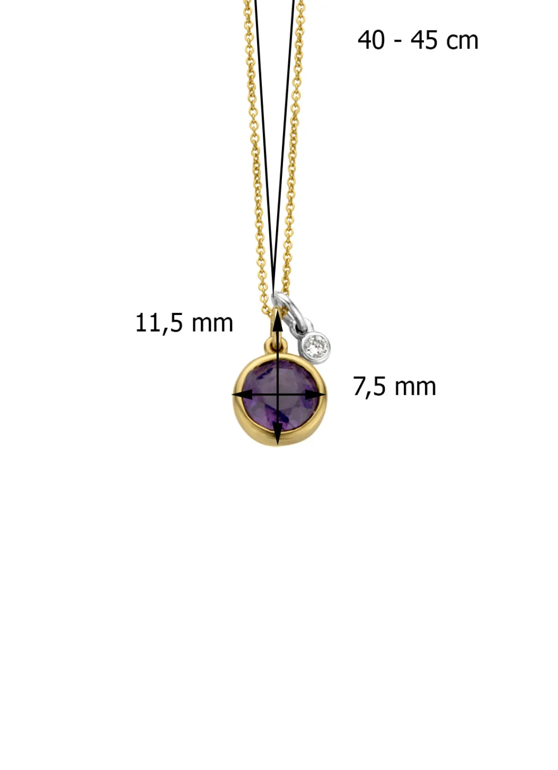 Birthstones gouden hanger met collier Februari