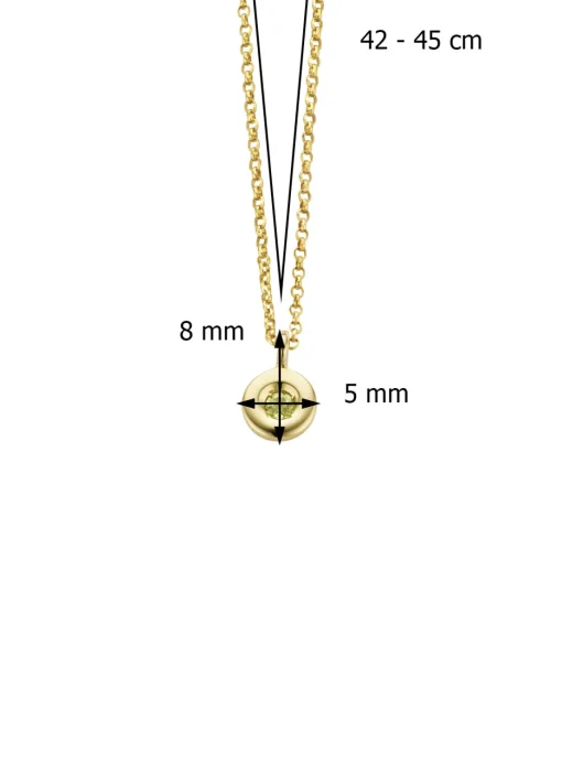 Birthstones gouden hanger met collier Augustus