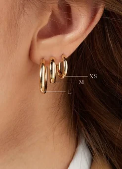 Geelgouden oorringen Timeless Treasures L